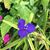 Christine Powell Holmes's profile image