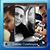 Milton Ashley Jaramillo's profile image