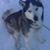 Holly Feldhus's profile image