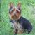 Cindy Sinclair's profile image