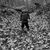 Richard Rayl's profile image