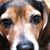 Sandy Canter's profile image