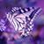 Staci LeighAnne's profile image