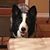 Gina Buffington's profile image