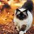 Gracie Oeltman's profile image