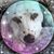 Caryn James's profile image