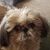 Jacinda Swets's profile image