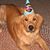 Mary Jo Leitzell's profile image