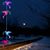 Rita Pierini's profile image