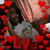 Diamond Carroll's profile image