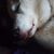 Cindy Vandenheuvel Merker's profile image