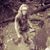 Shauna Bells Tetiva's profile image