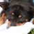 Mary Jo Abbinanti Liccar's profile image