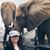 Cindy Lopez Smith's profile image