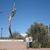 Victoria Javier's profile image