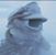 Steve DeWitt's profile image