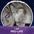 Tammy Branscum Lemon's profile image