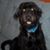 Janie Wing's profile image
