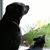 Denise Niedt's profile image