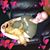 Colin Patrick Dore's profile image