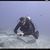 Miles L. Hamrick's profile image