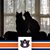 Jan T. Jones's profile image