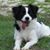 Kelly McGinnis LaBella's profile image