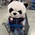 David Cook's profile image