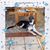 Helen Elena Aguirre's profile image