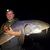 Nick Sebald's profile image