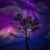 Madge Casacca's profile image