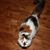 Sandi Myers's profile image