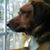 Pamela Berkstresser's profile image