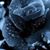 Juliet Griffin's profile image