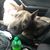 Preston Andrew Noland's profile image