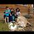 Tere Fox's profile image
