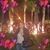 Hala Elsalawy's profile image