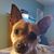 Michael Scudder's profile image