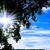 Athina Minerva's profile image