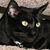 Teddi Hamilton Lillback's profile image