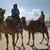 Gail Petzinger-Lesinski's profile image