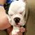 Dona Norris's profile image