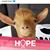 Lisa Glidden's profile image