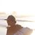 Kevin Routson's profile image