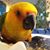 Pamela Russell's profile image
