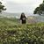 Bao Thanh Tran's profile image