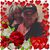 Debra Starr Mayes's profile image