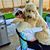 Tonya Giesbers's profile image