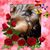 Linda Ferry's profile image
