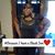 Yvonne Adams's profile image